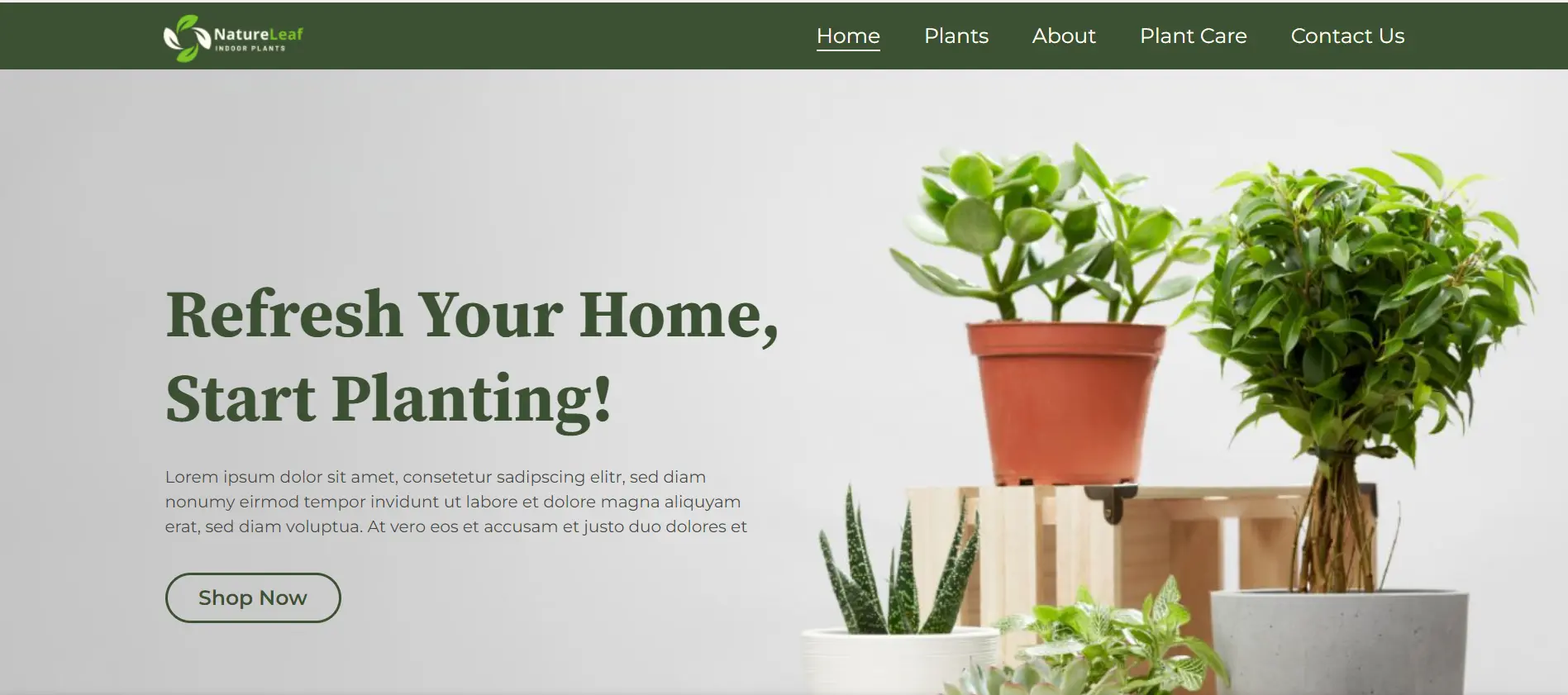 Nature WordPress themes - Plants store website starter Template