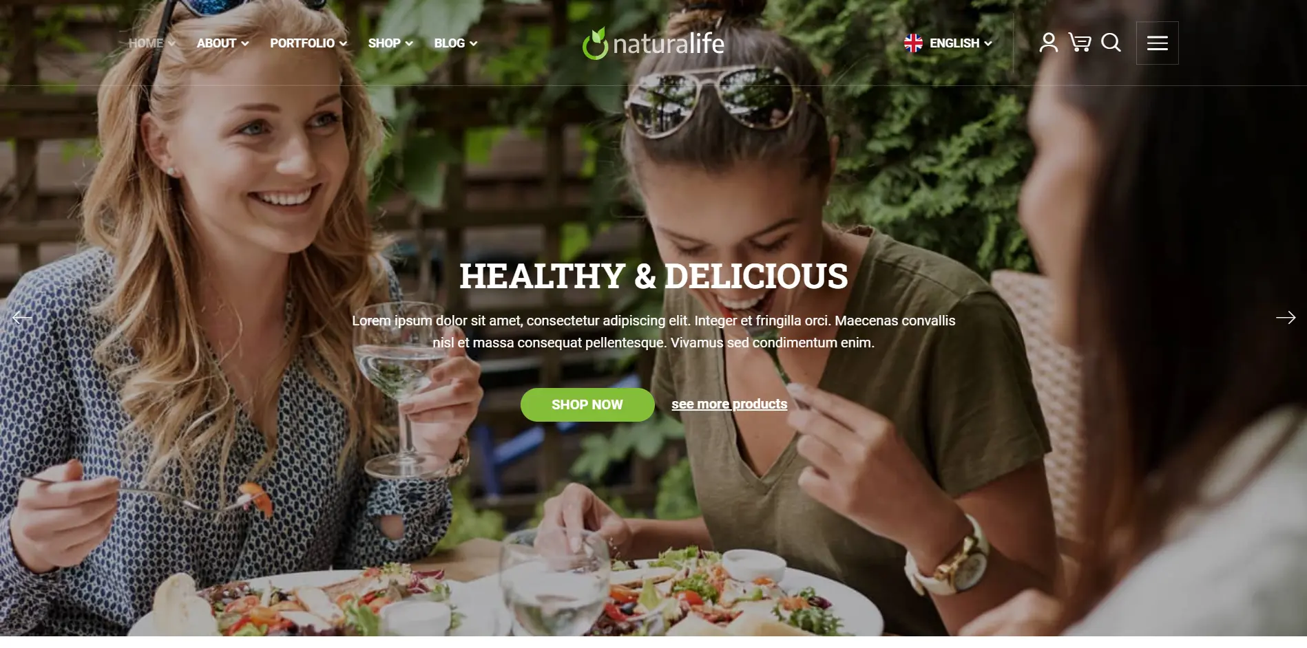 NaturaLife WordPress Theme