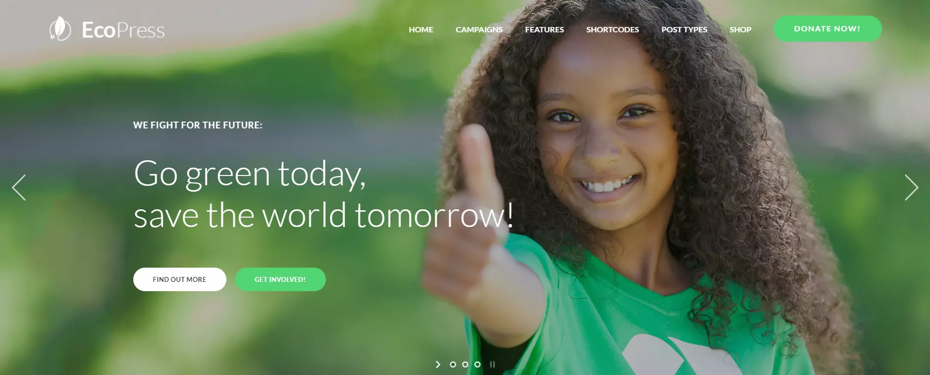 Eco Press WordPress Theme