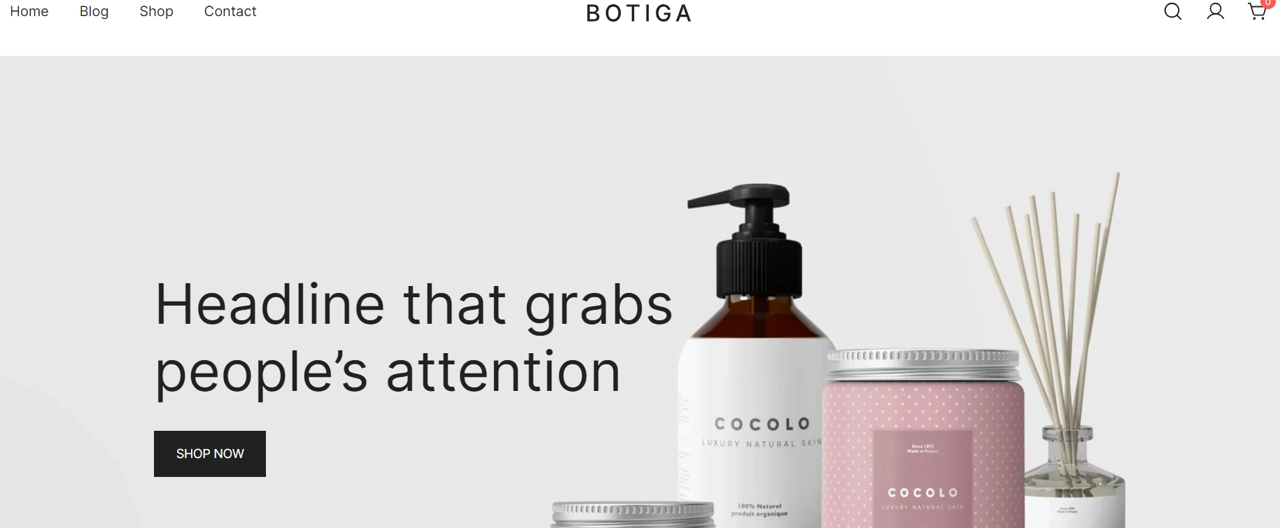 Botiga free E-Commerce WordPress themes