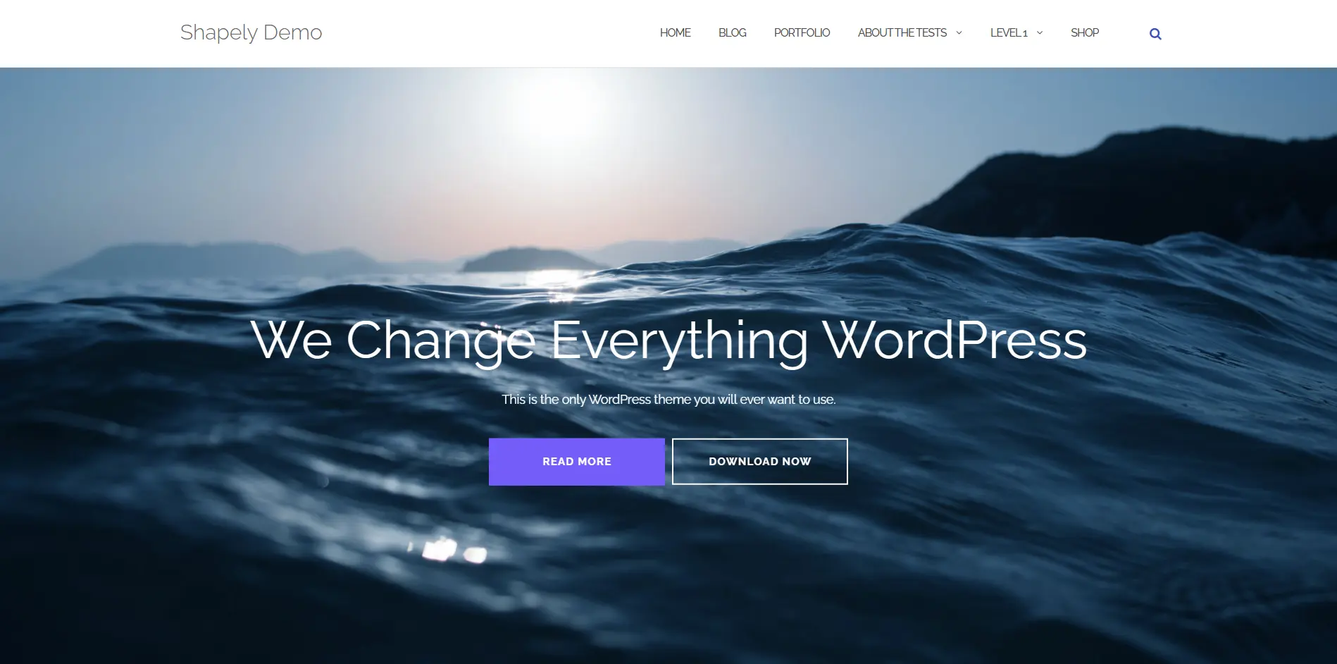 Shapely WordPress Theme