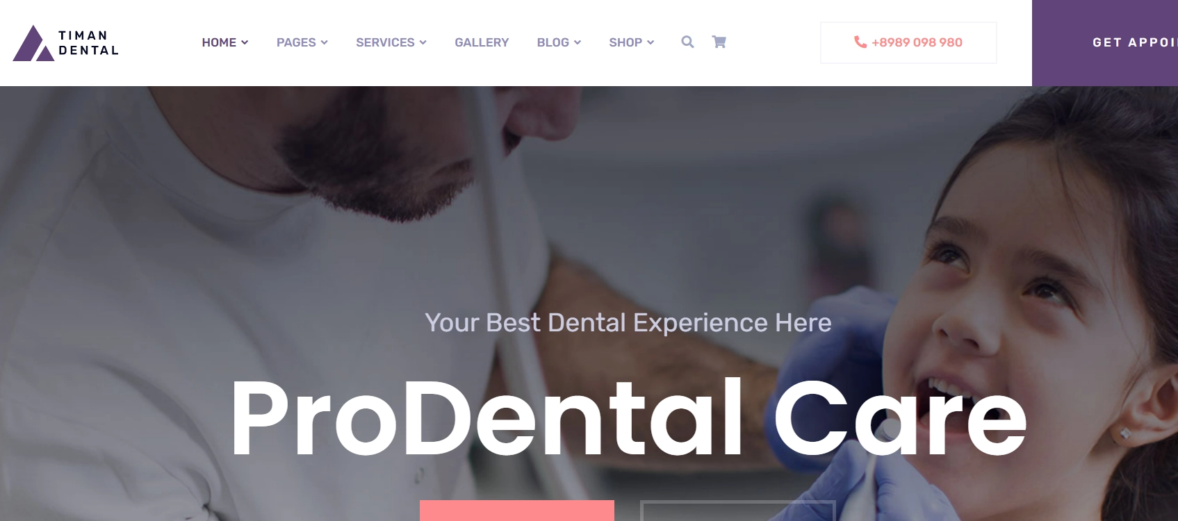 Timan Dentist WordPress Themes