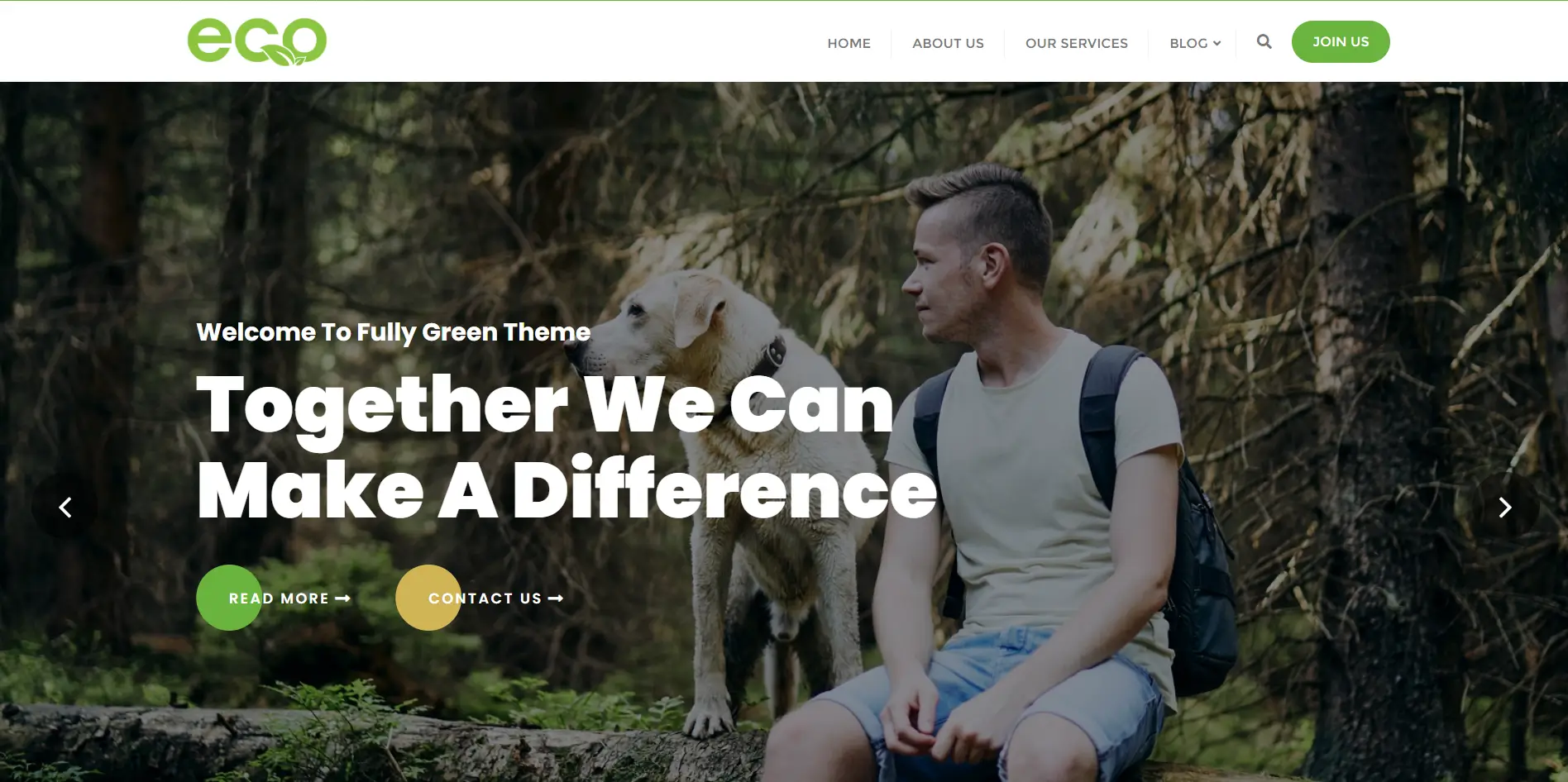 Fully Green WordPress Theme
