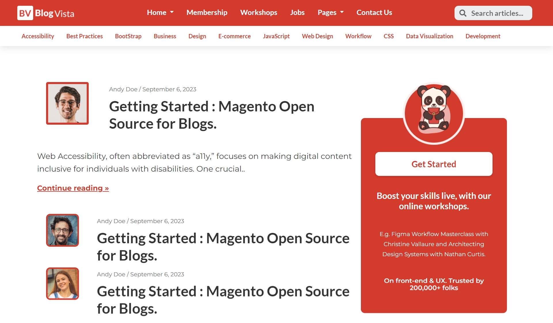 Pro Blogging website template