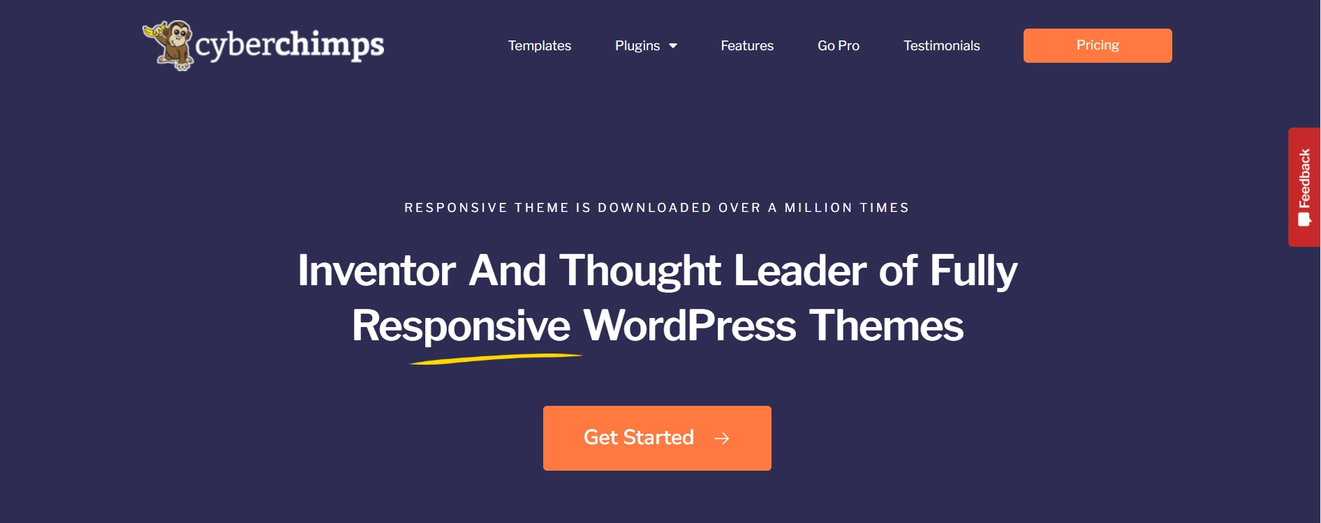 Responsive Theme