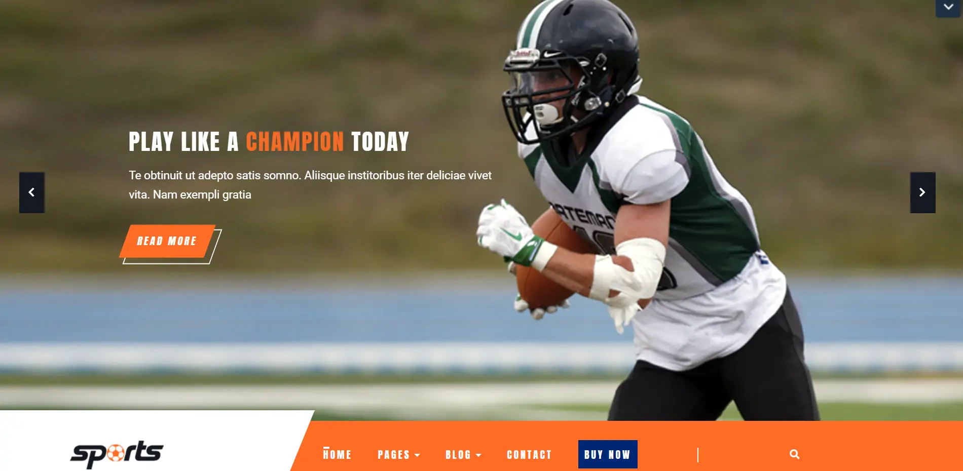 VW Sports WordPress Theme 