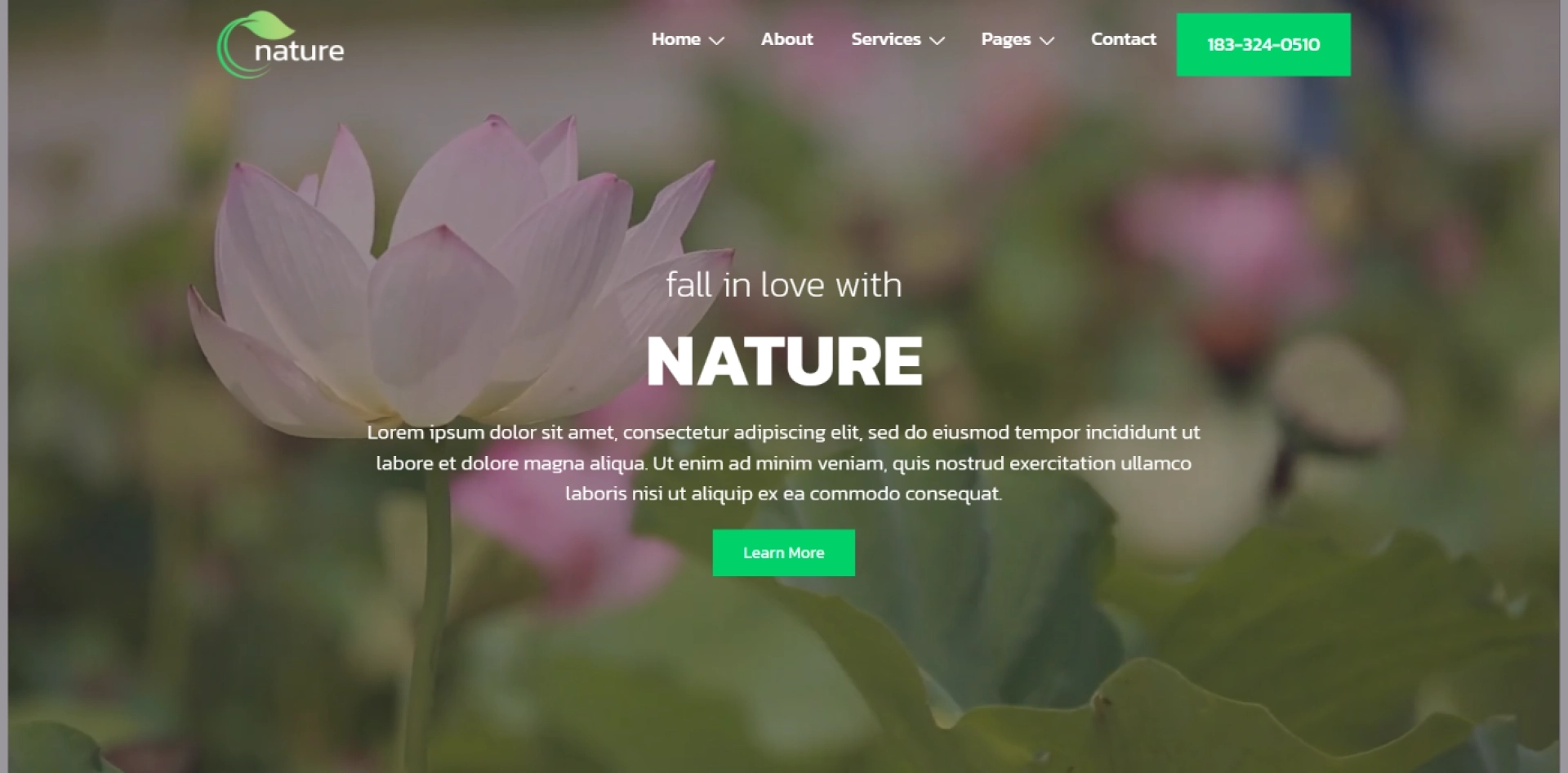 Nature WordPress Starter Template