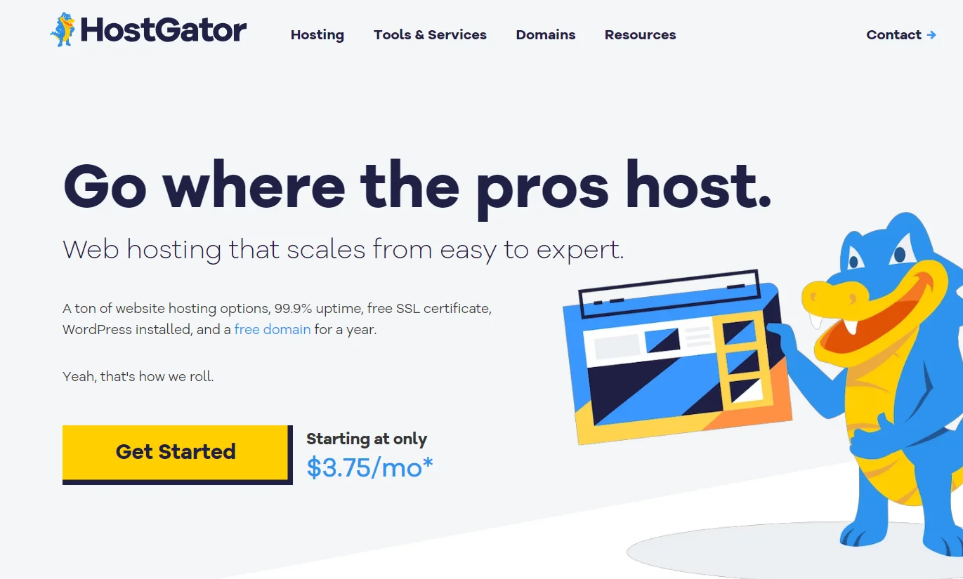 HostGator offshore hosting provider