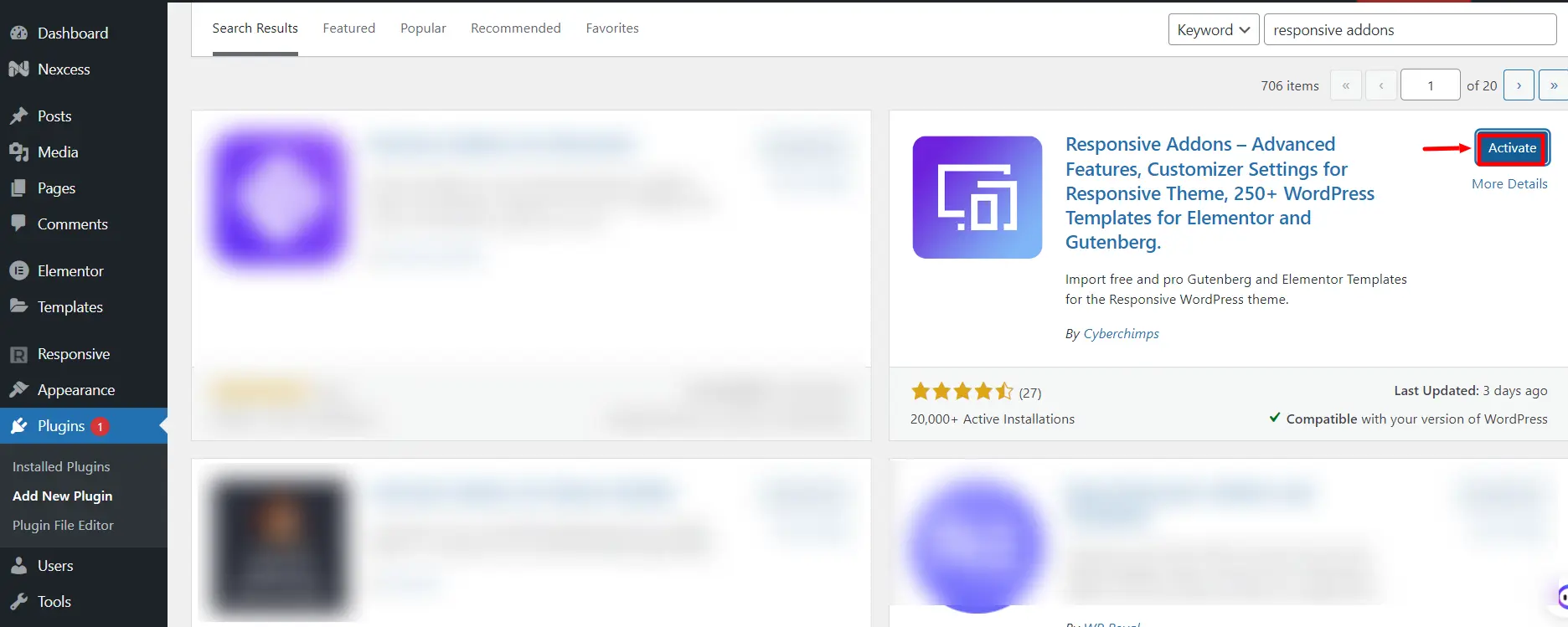 responsive addons activation