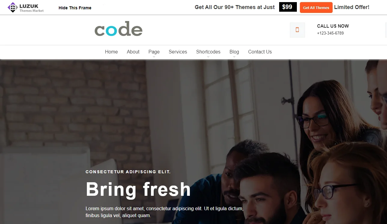 LZ landing page WordPress themes