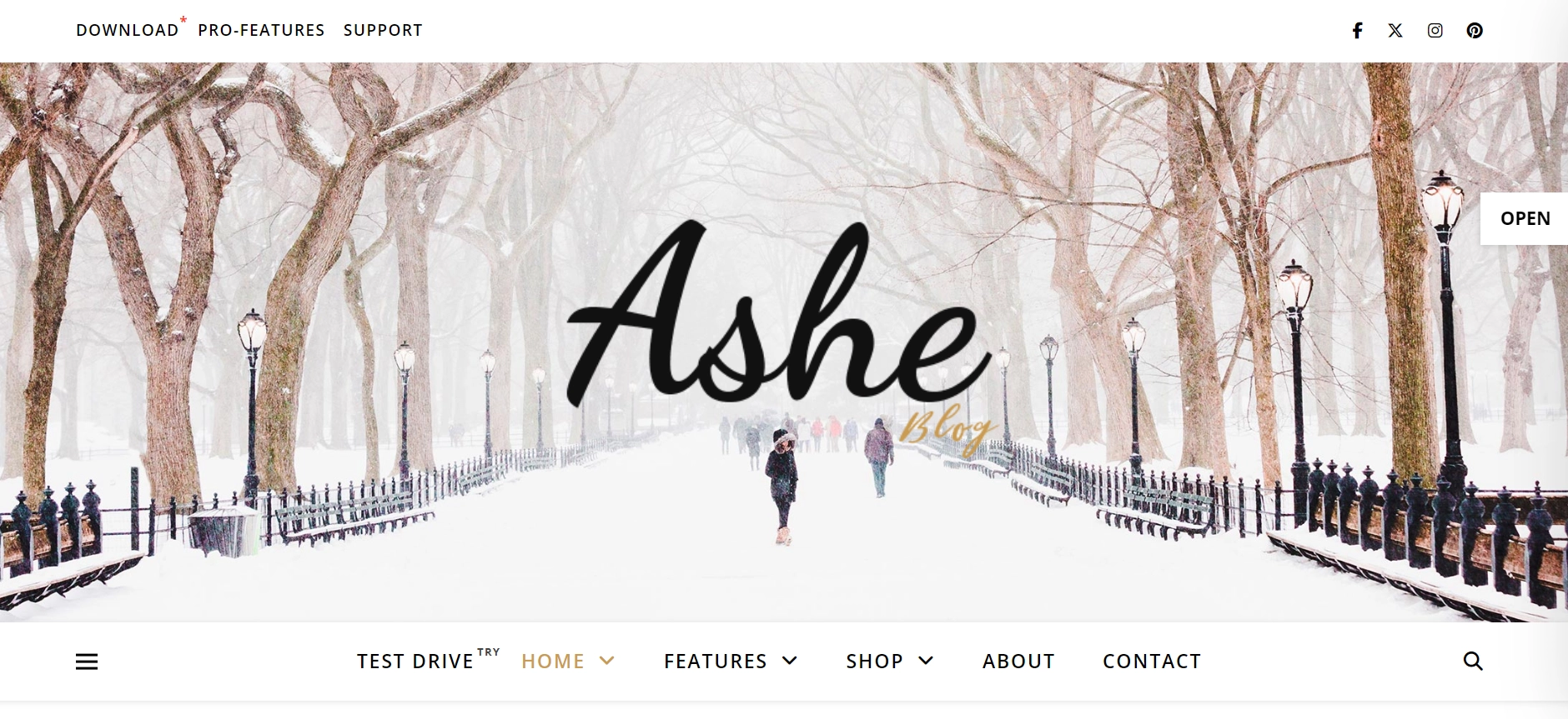 Ashe Theme