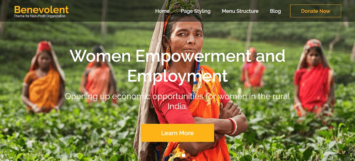 Benevolent non-profit wordpress theme