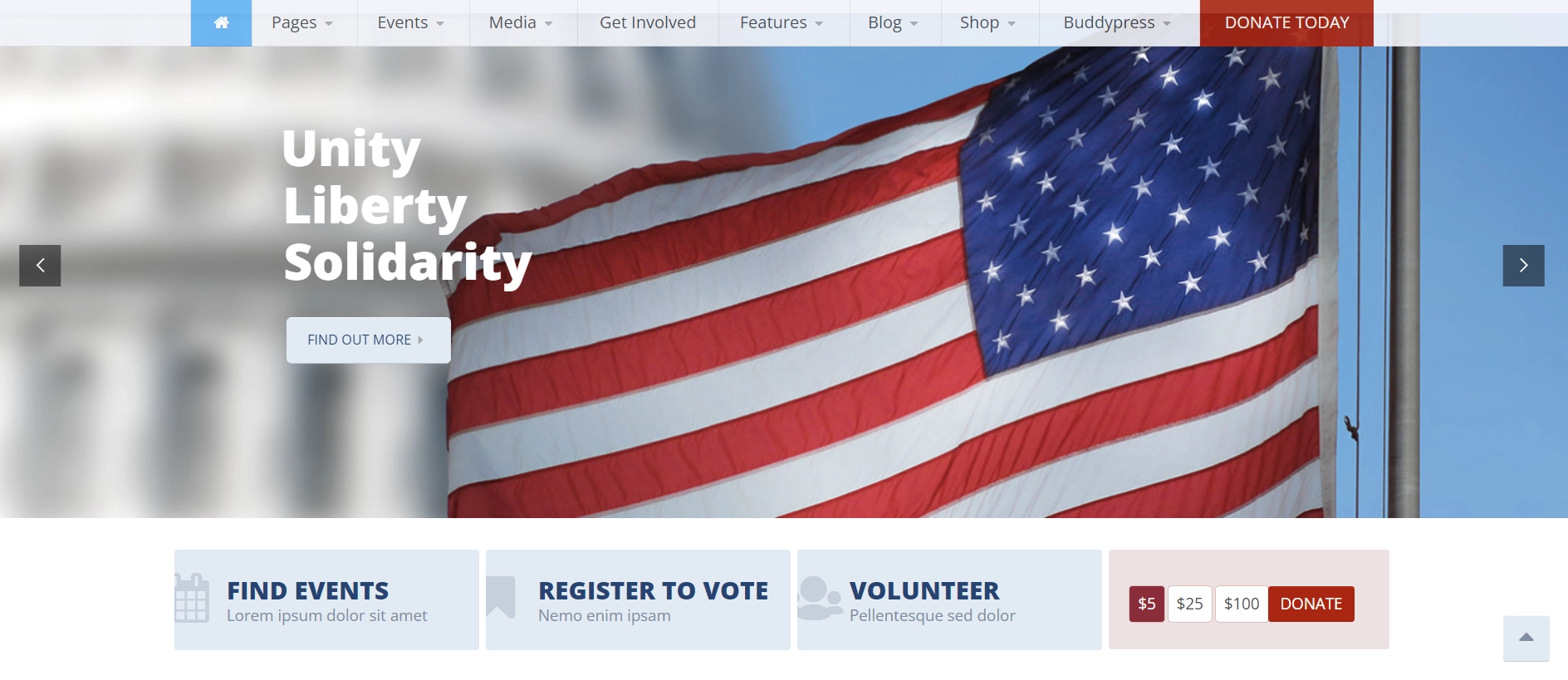 Candidate non-profit wordpress theme
