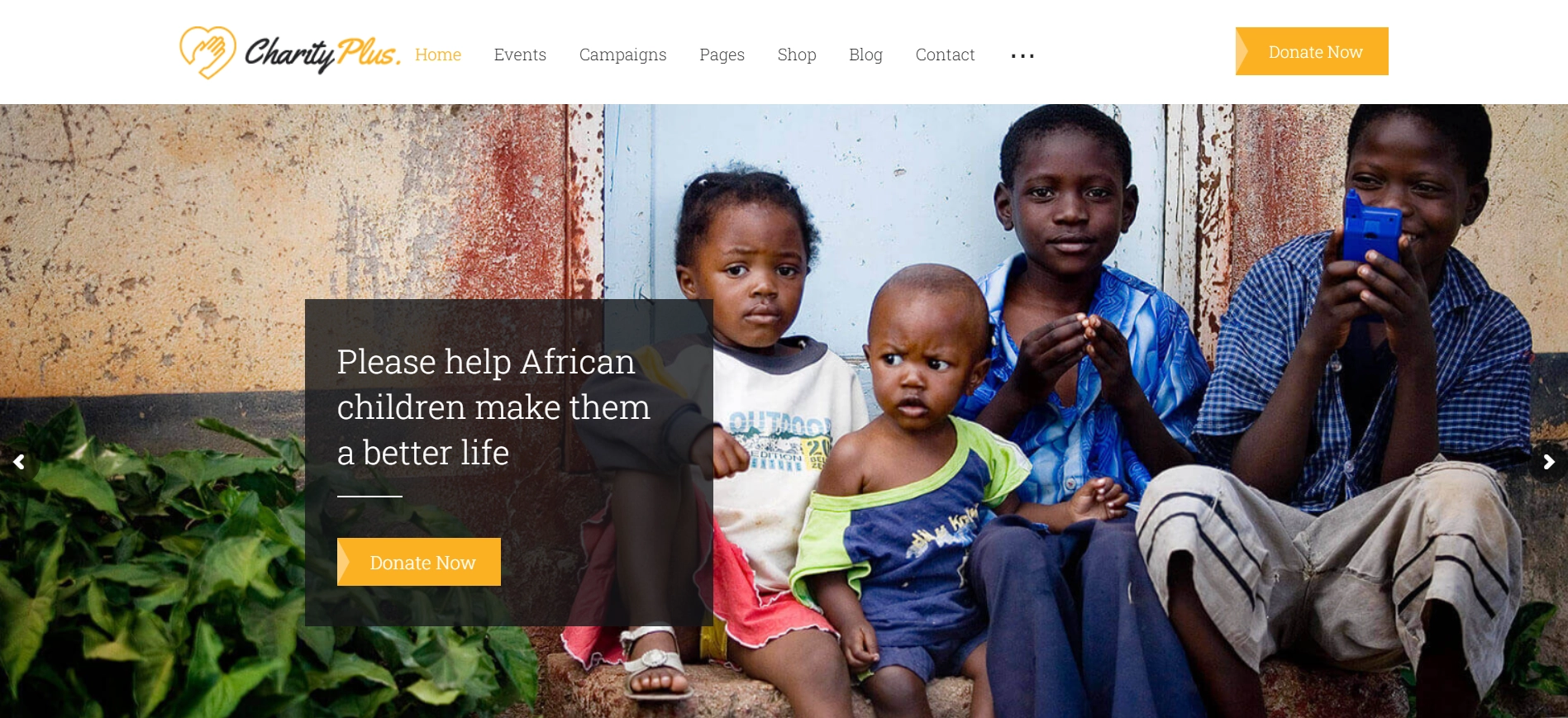 Charity Plus non-profit wordpress theme