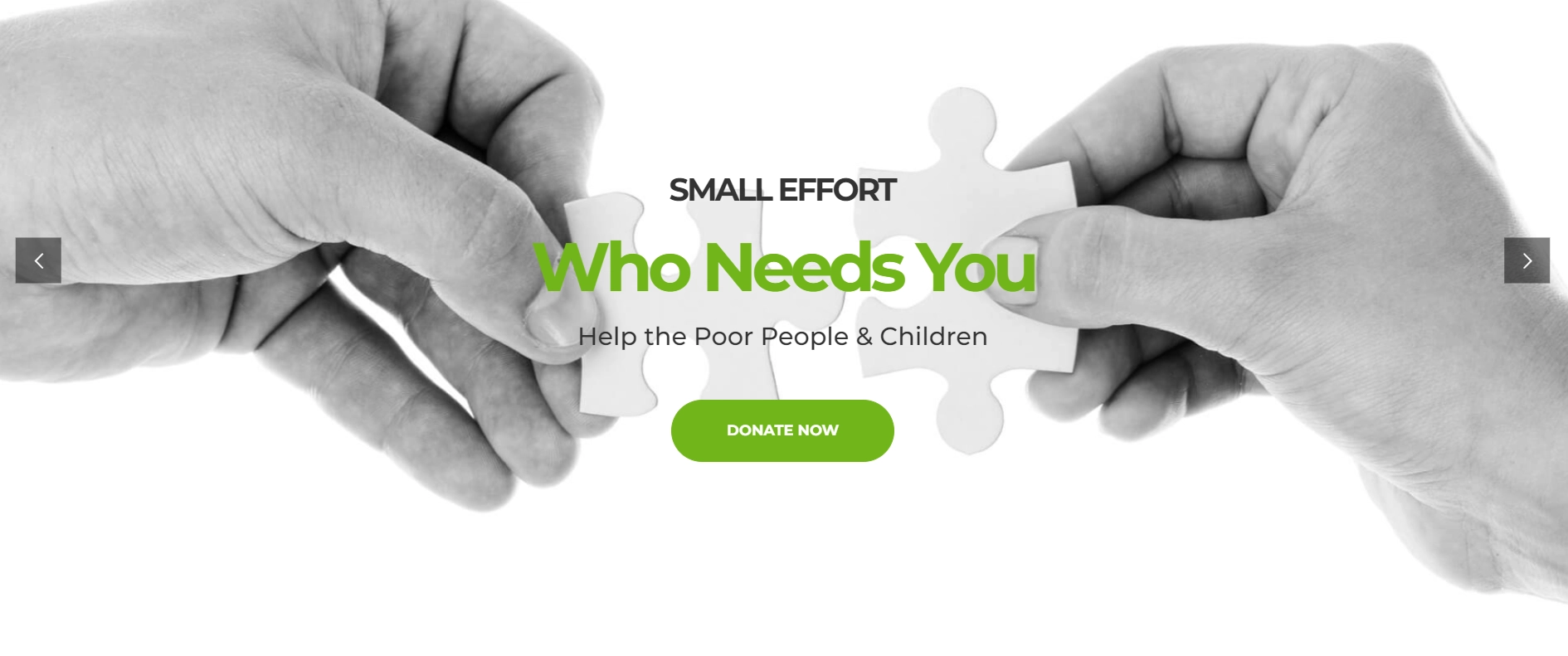 Giving walk non-profit wordpress theme