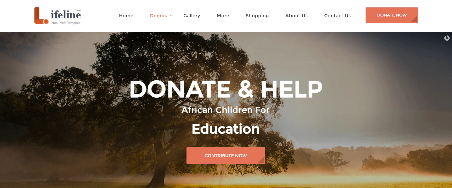 Lifeline non-profit wordpress theme