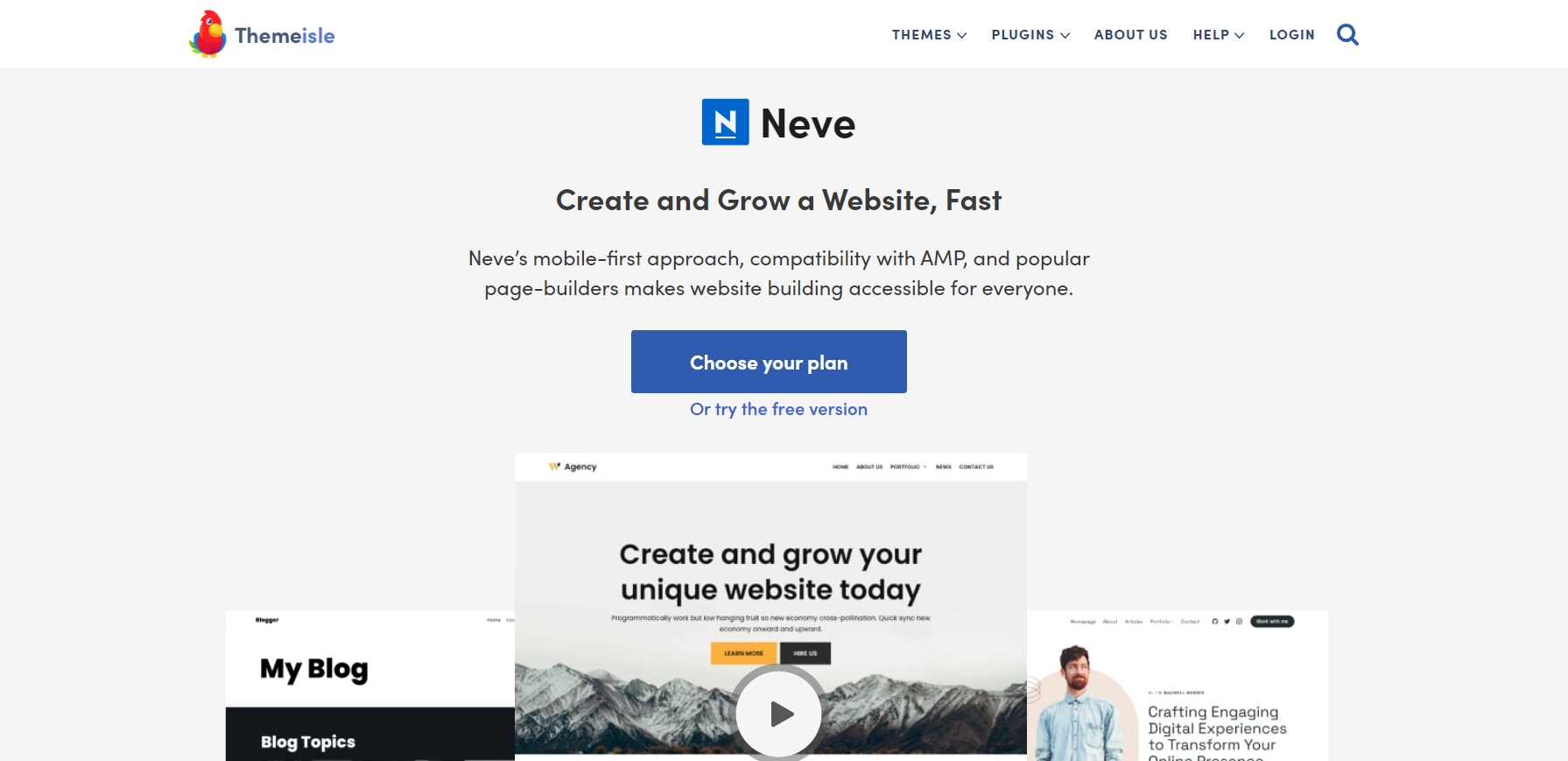 Neve Theme