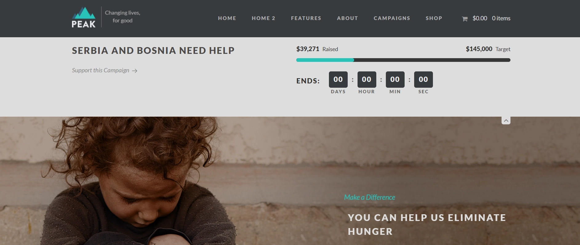 Peak non-profit wordpress theme