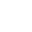 Auction