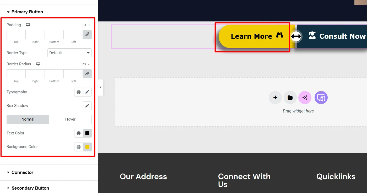 Primary button styling customizations