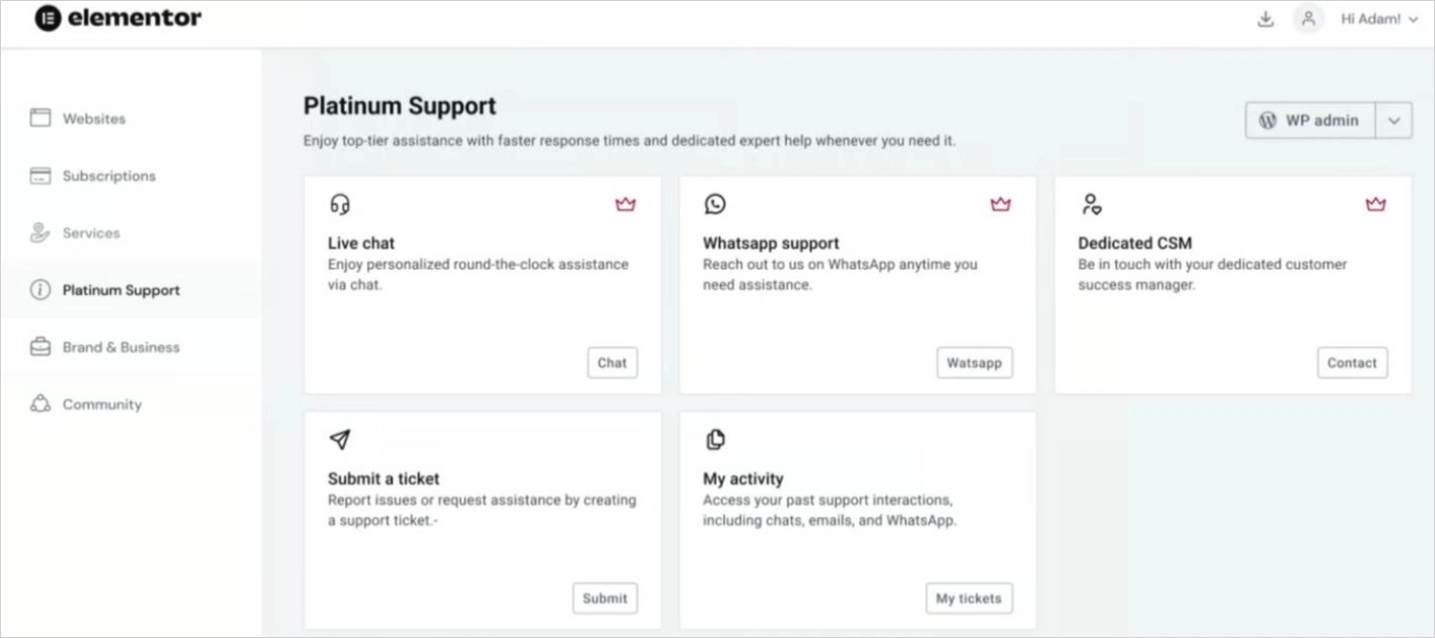 Elementor-Platinum-Support