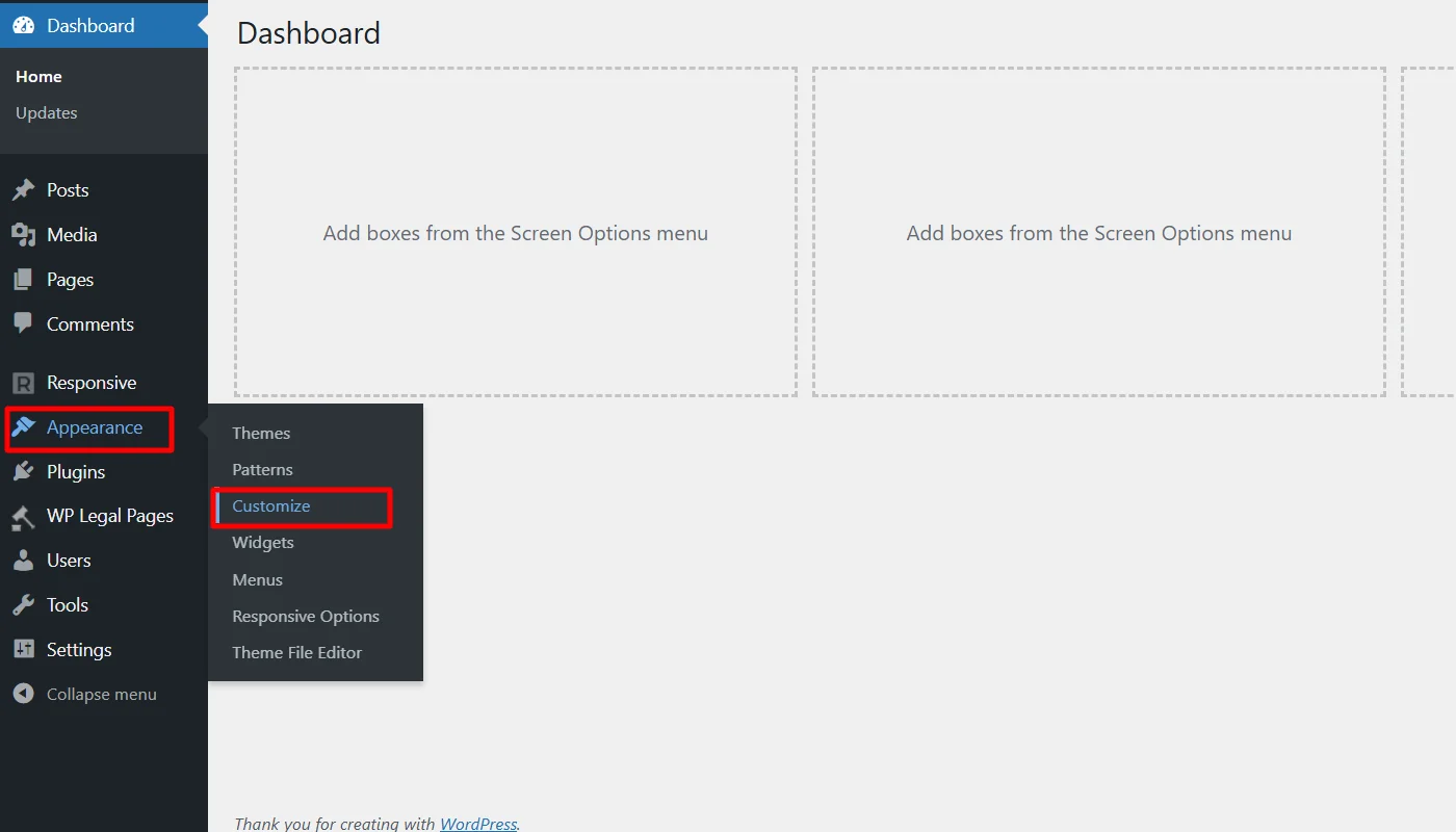 Clicking appearance then customize