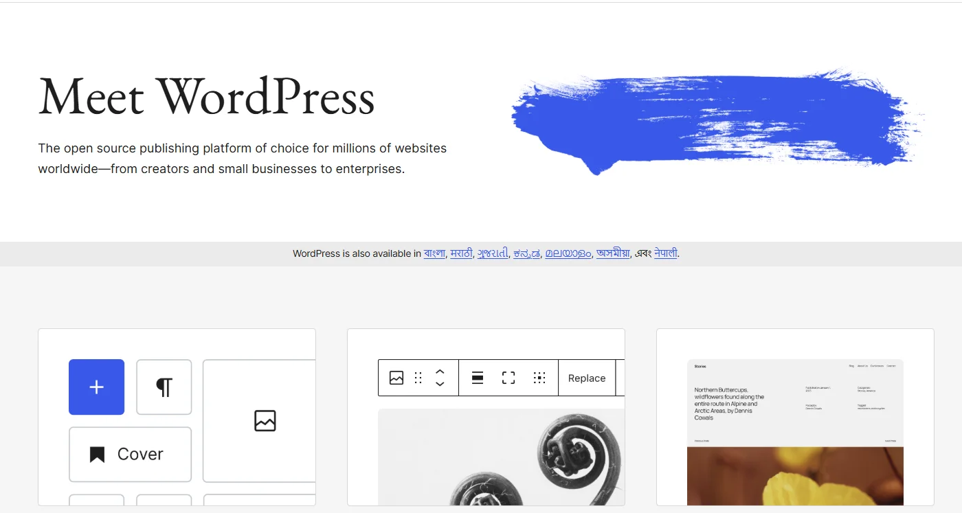 WordPress - eCommerce Website Builder