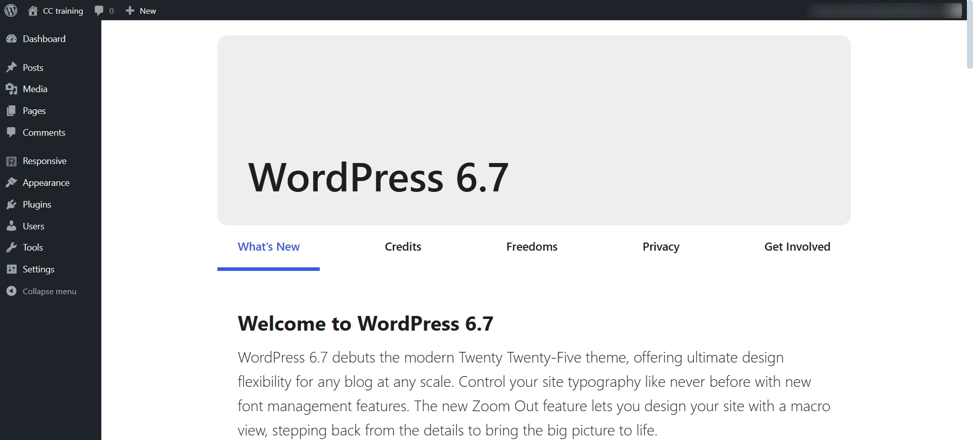 WordPress admin dashboard