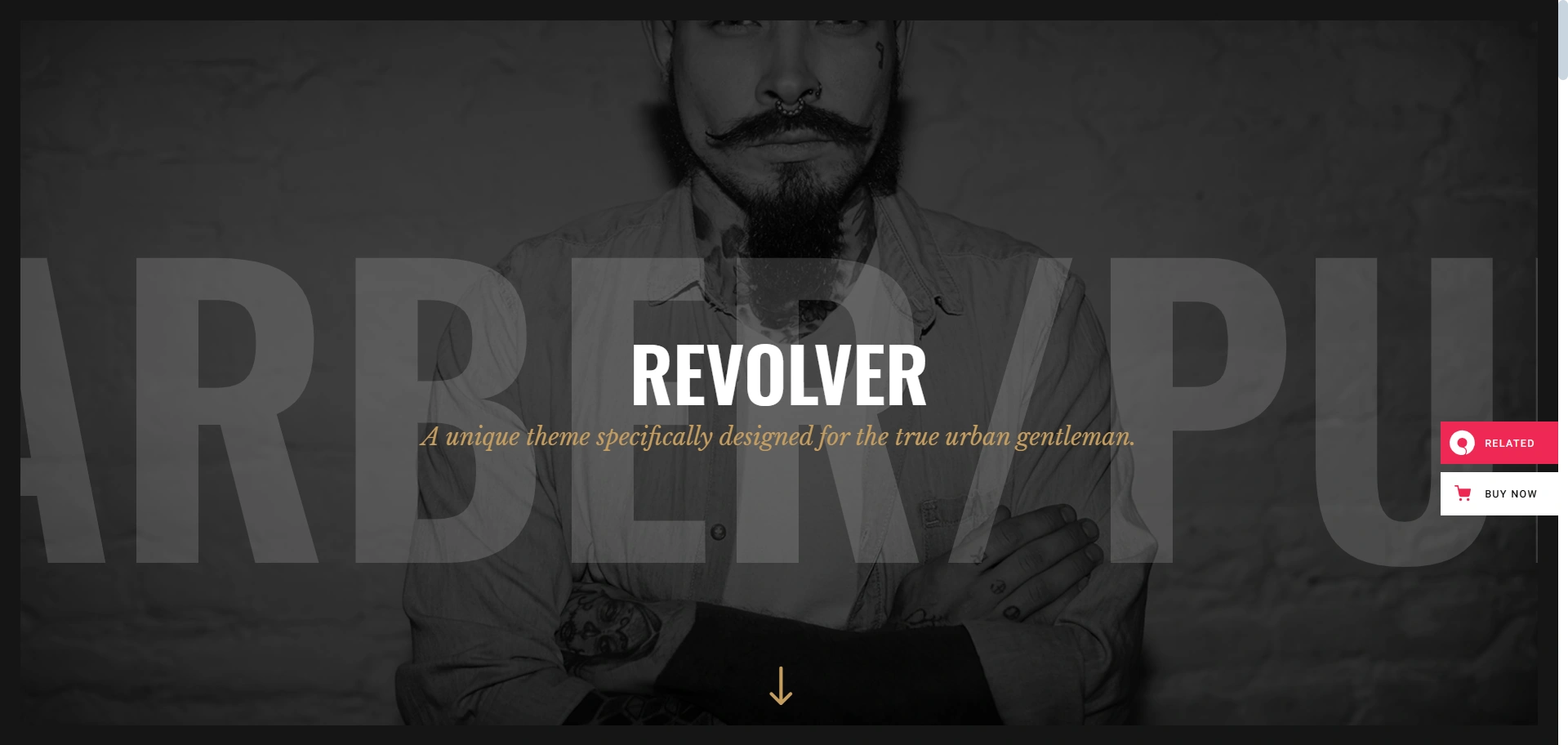Revolver theme