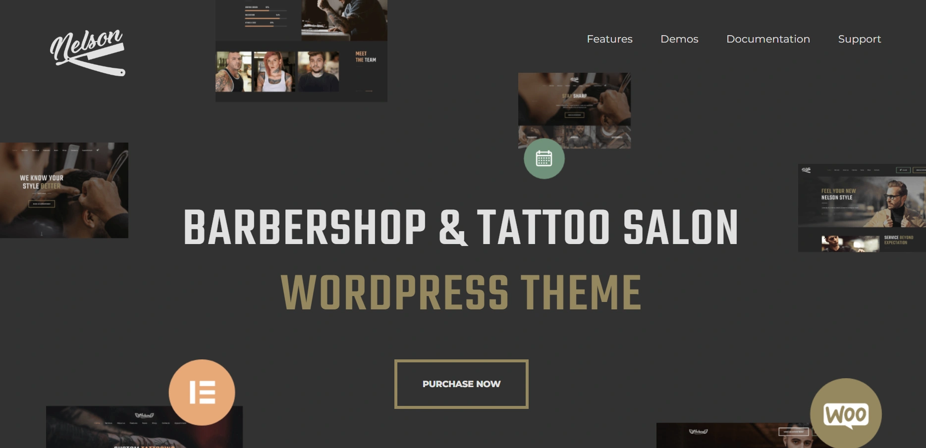 Nelson WordPress theme