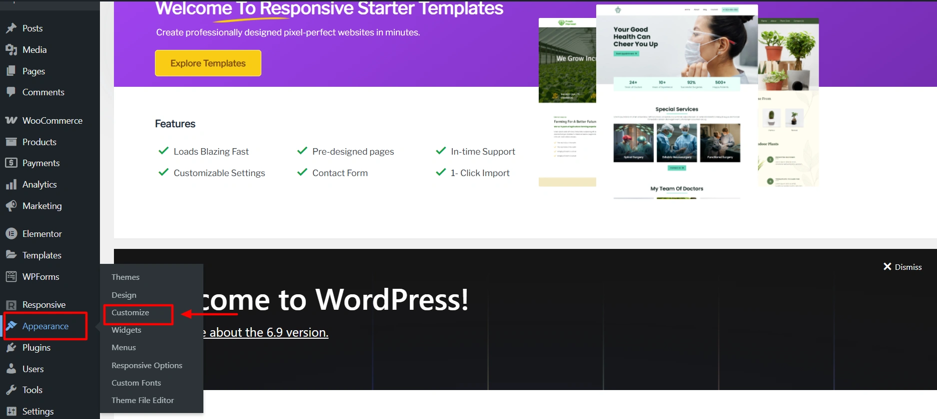 WordPress Customiser