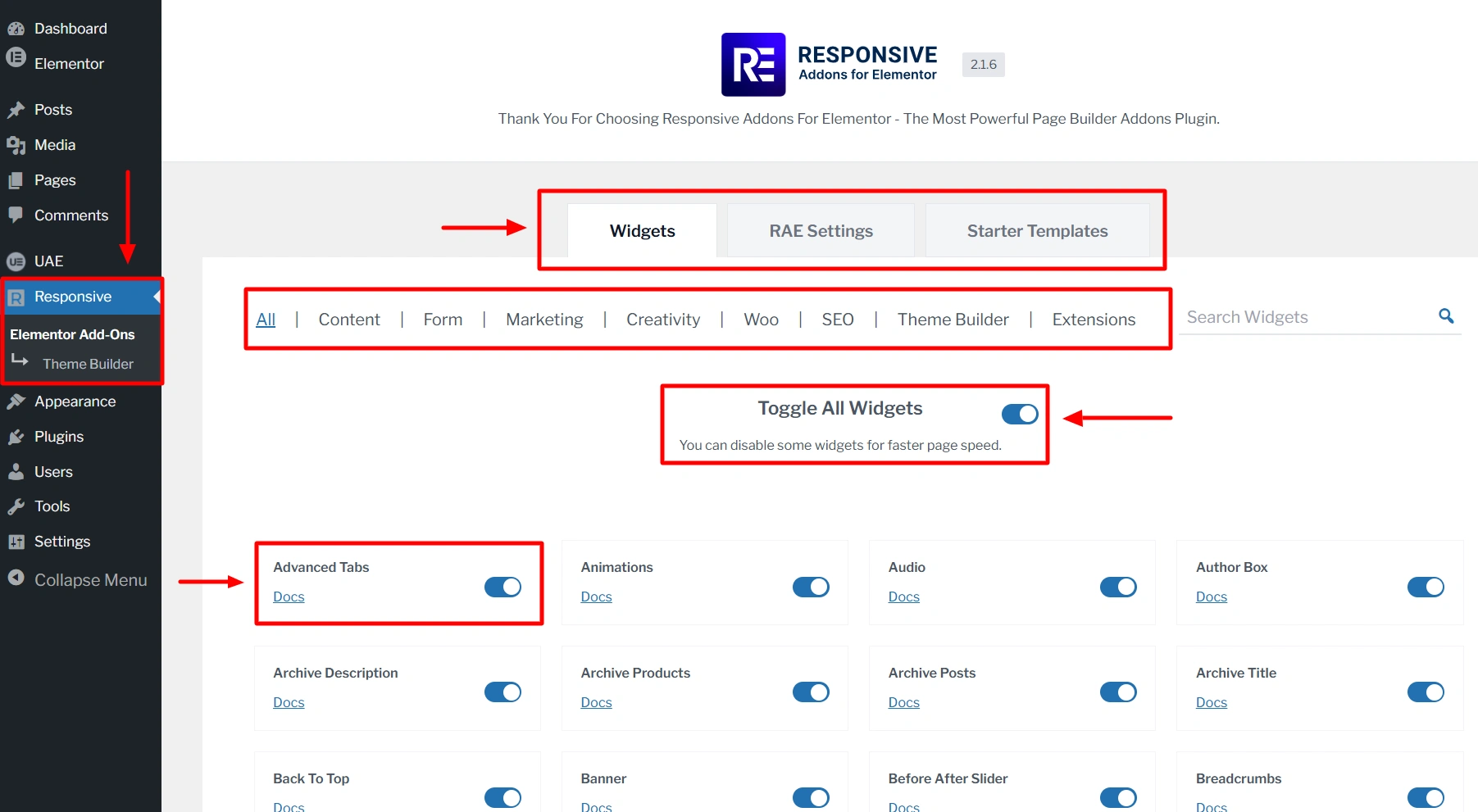 RAE Dashboard